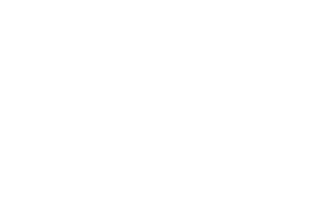 Irungo Udala