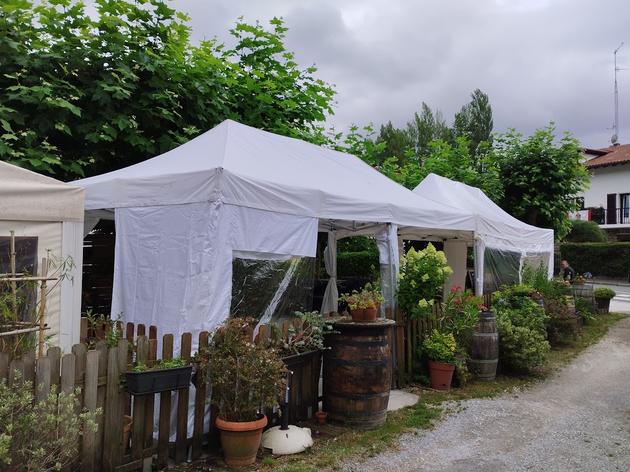 carpas 1